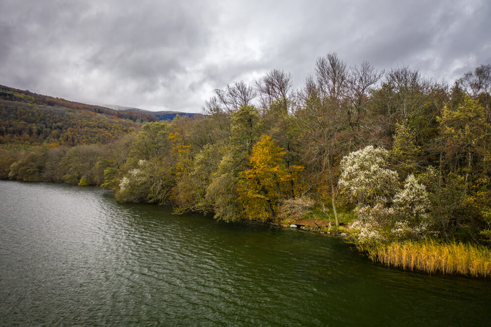 Brochet lac des Cordeliers