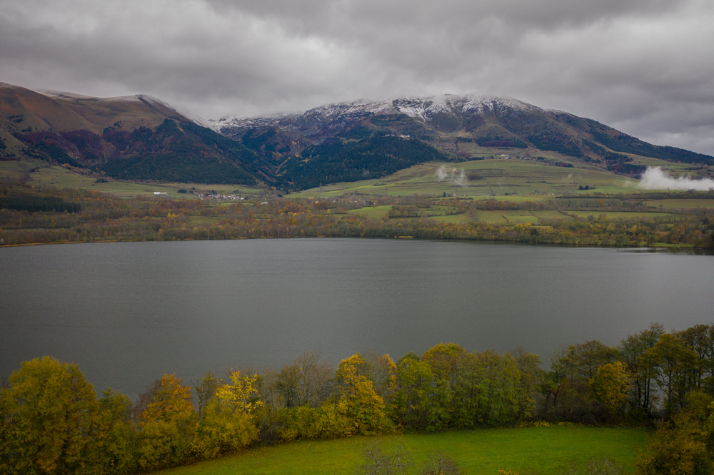 Truite et corégone lac alpin